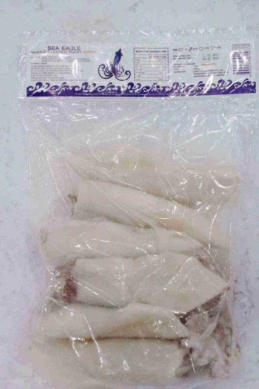 U10 Loligo Squid Image