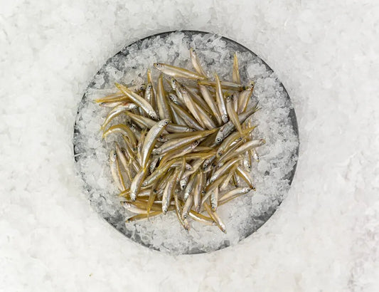 White Bait Frozen