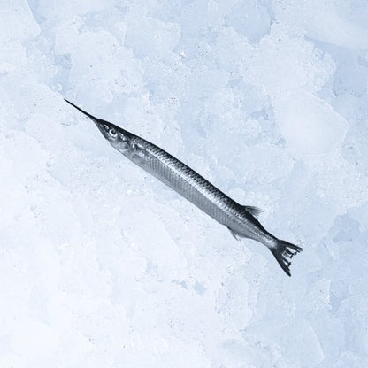 ガーフィッシュ1kgあたり