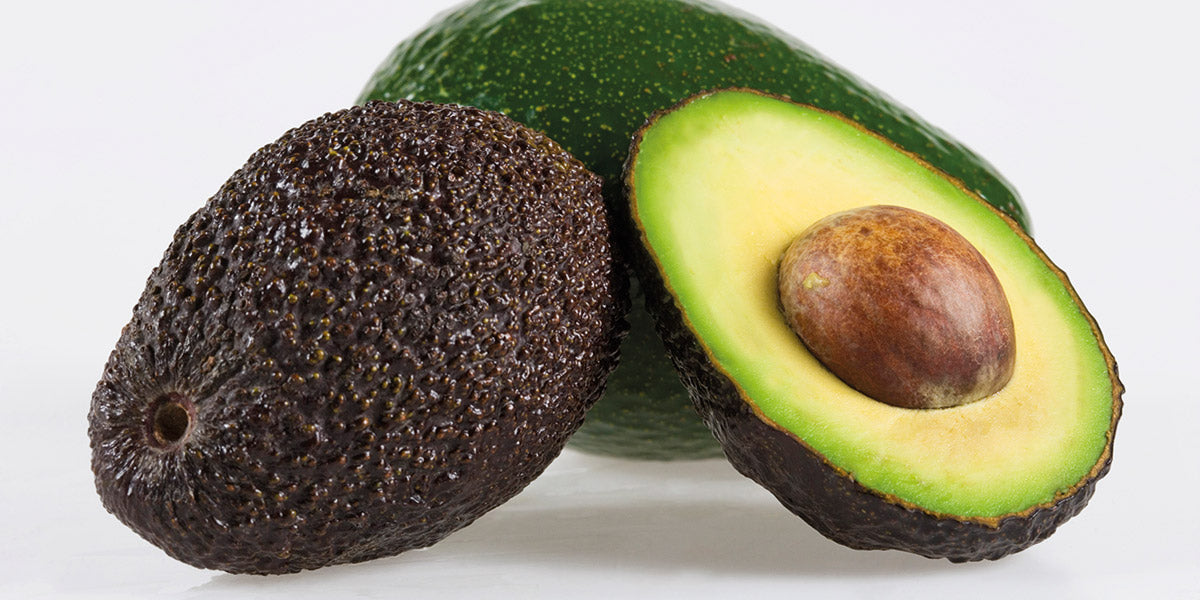 Avocado