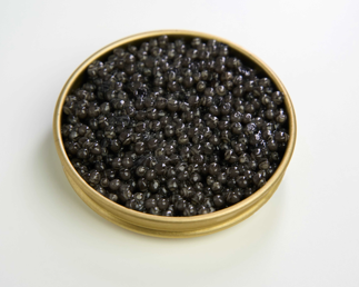 Sturgeon Roe - Baerii Caspiran Caviar (50g)