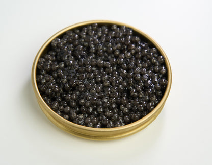 Sturgeon Roe - Beluga Caspiran Caviar (30g)