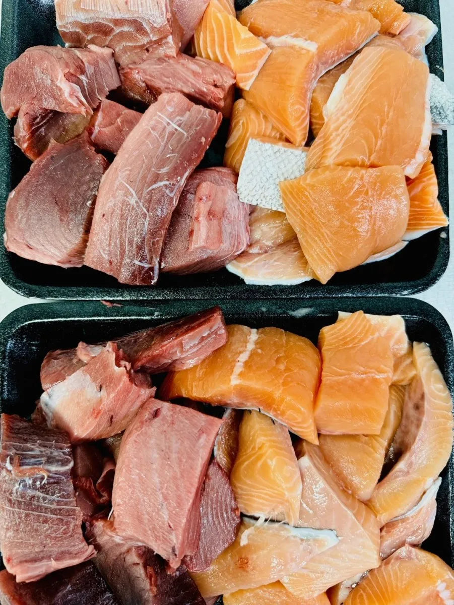 Salmon and Tuna Off Cuts