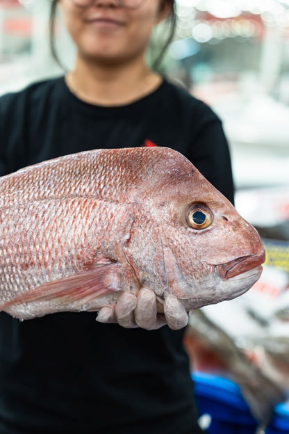 Medium Snapper 1kg Per Fish