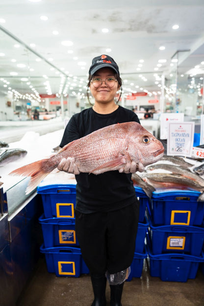 Medium Snapper 1kg Per Fish