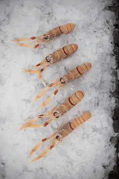 NZ scampi No.1 Per 500g