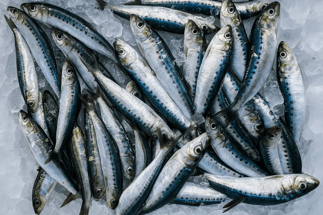 Whole Sardines per 1kg