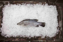 Plate Barramundi 700g-1kg Per Fish