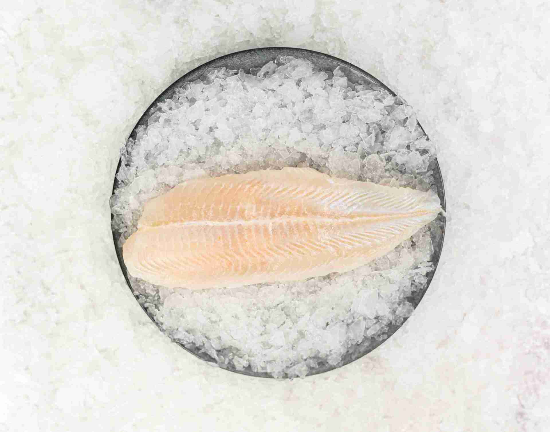Basa Fillets