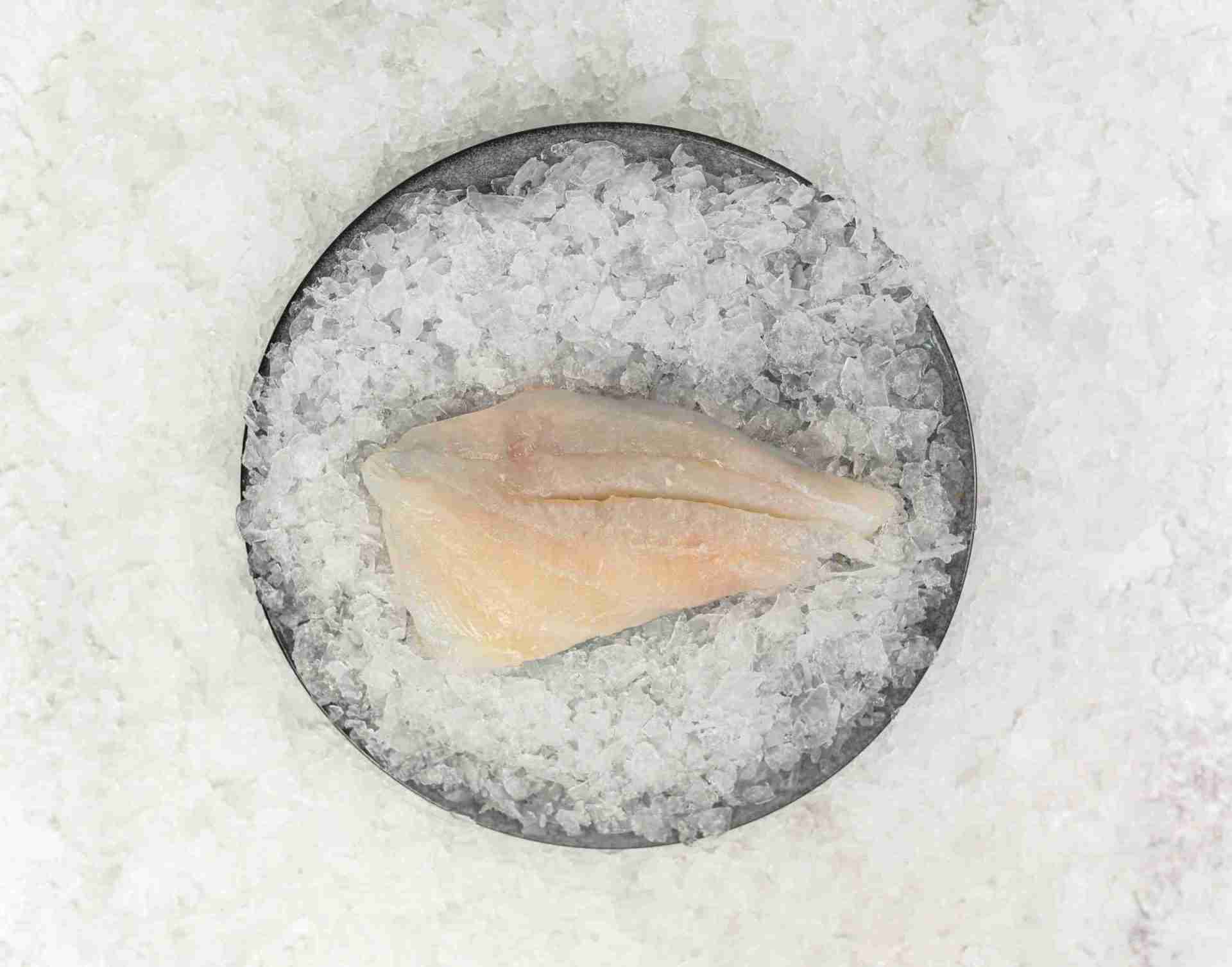 John Dory Fillets