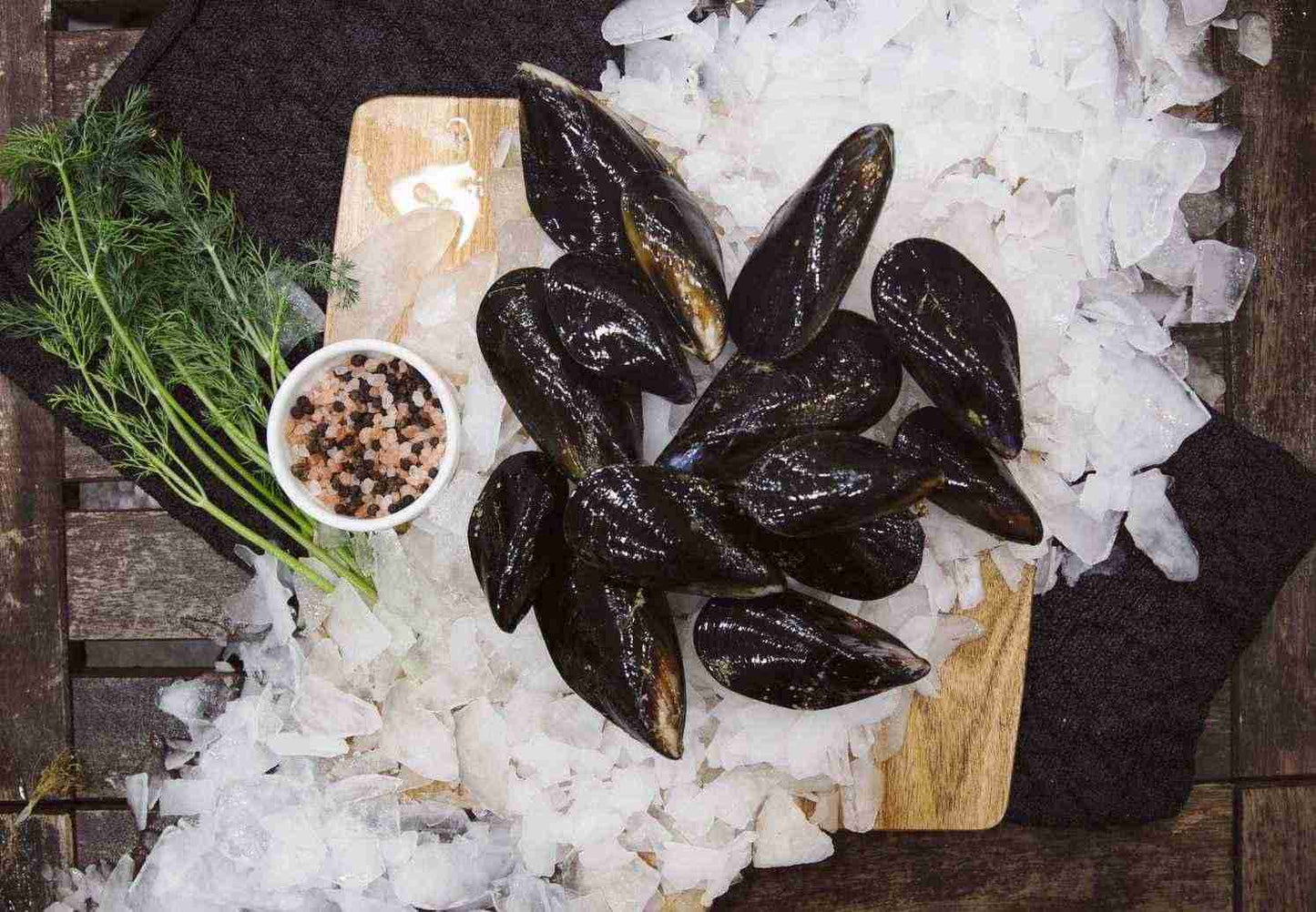 Live Blue Mussels
