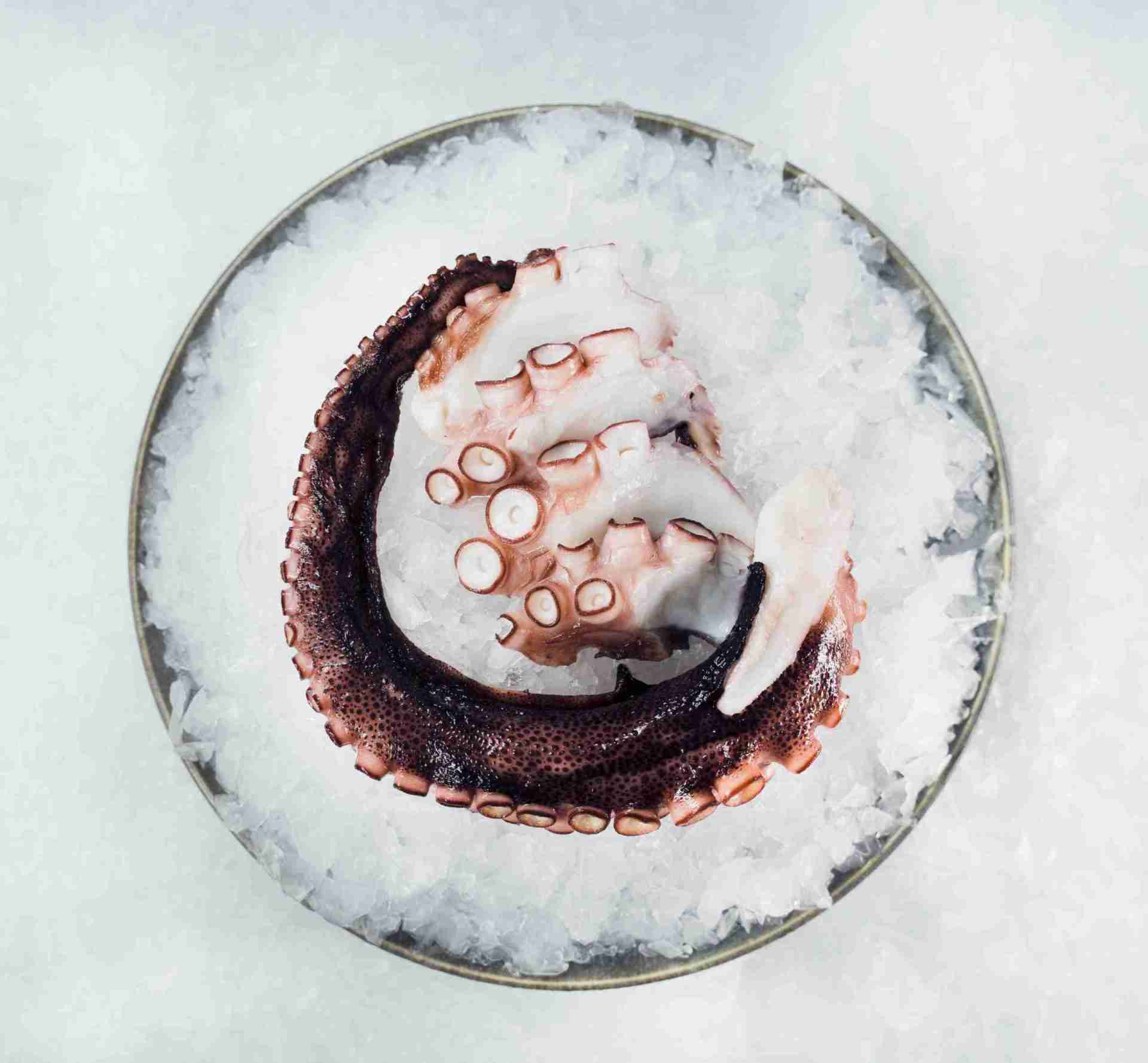 Boiled Octopus Sashimi