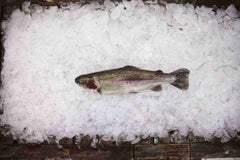 Rainbow Trout 450g Per Fish