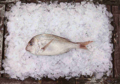 Medium Snapper 1kg Per Fish