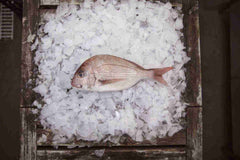 プレートスナッパー 1匹あたり400g