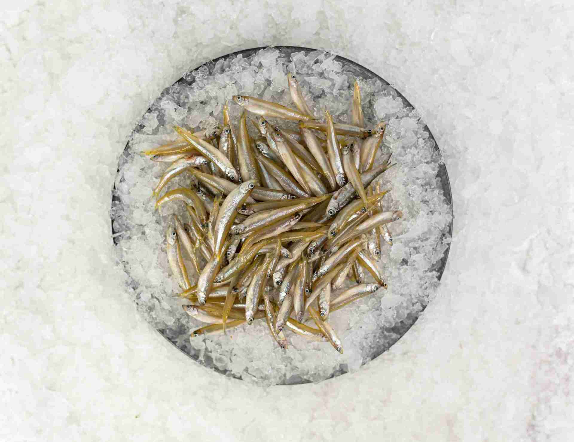 White Bait Frozen