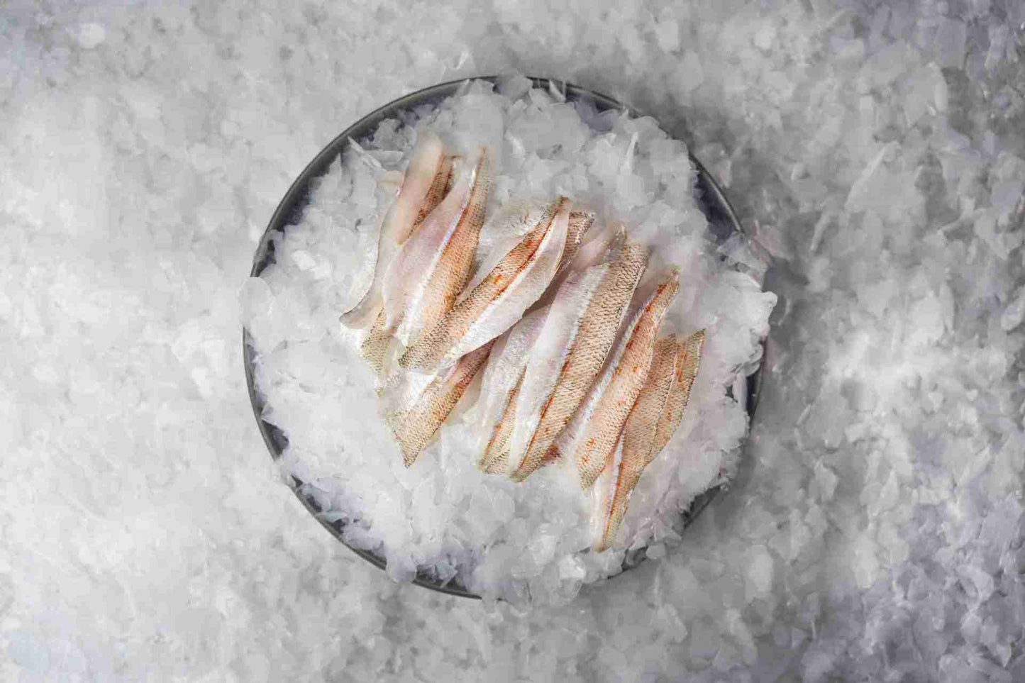 Whiting Fillets