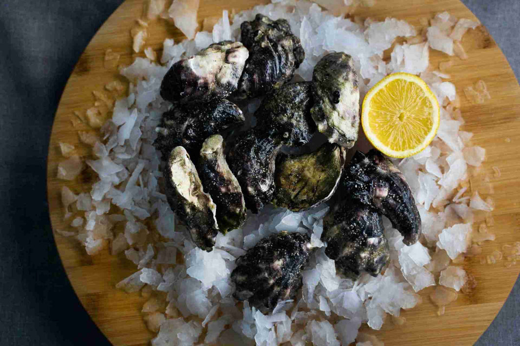 Buy Fresh Oysters Online Oyster Bar Delivery Sydney, Newcastle